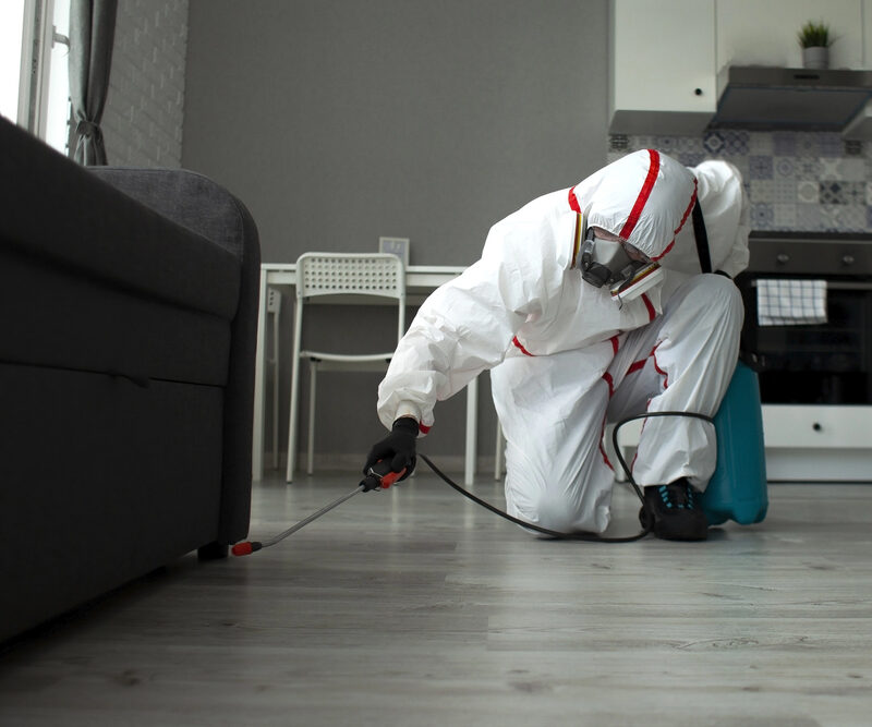 Wall injections to prevent rat infestation.